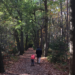 wandeling in het bos met kind