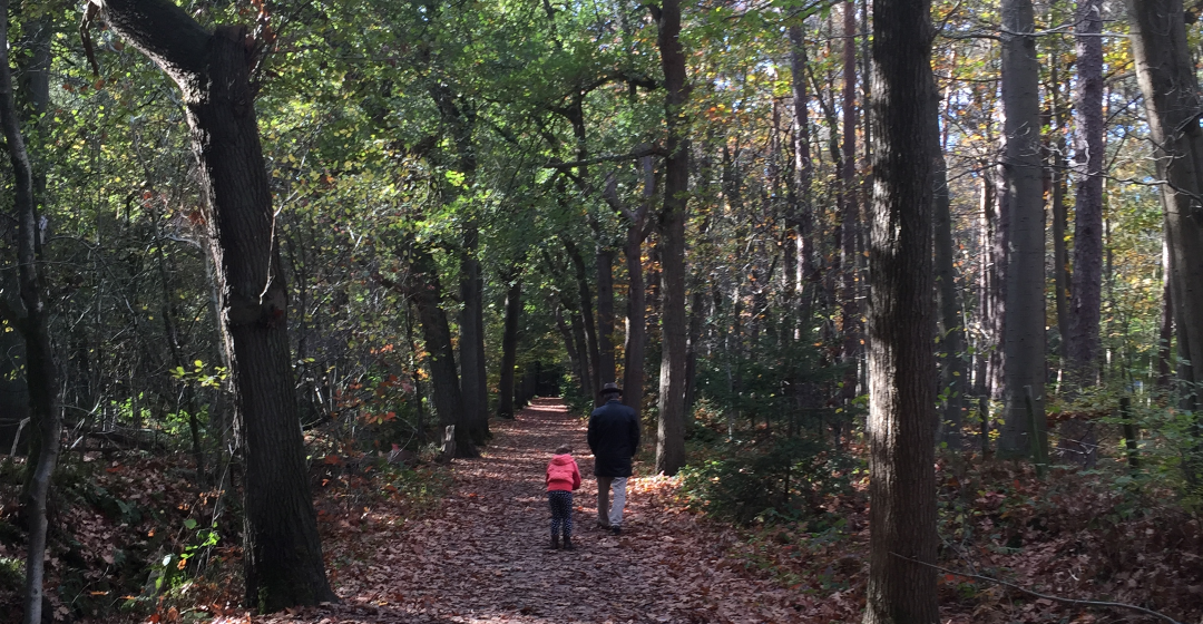 wandeling in het bos met kind