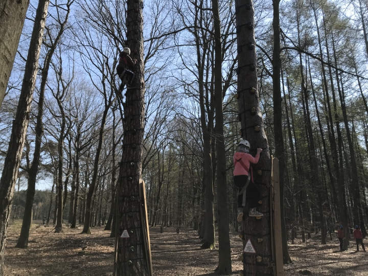 Monkey climb in het klimbos in Goirle
