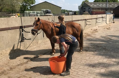 Farmcamps de Smulhoeve