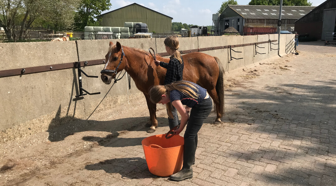 Farmcamps de Smulhoeve
