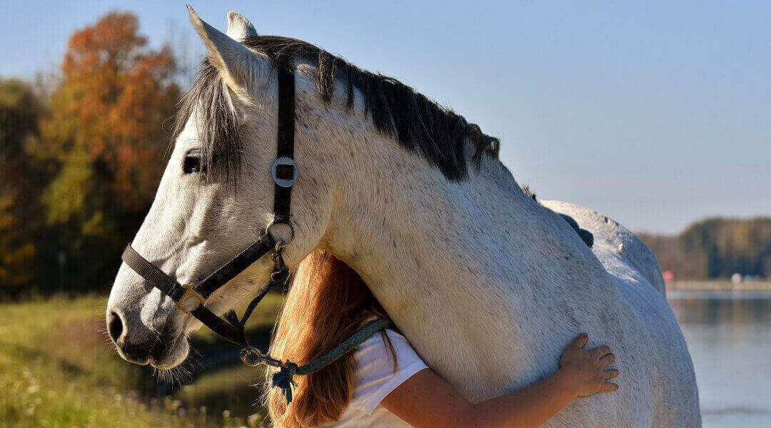 Paardenmeisje