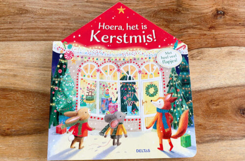 kerstboek kleuters