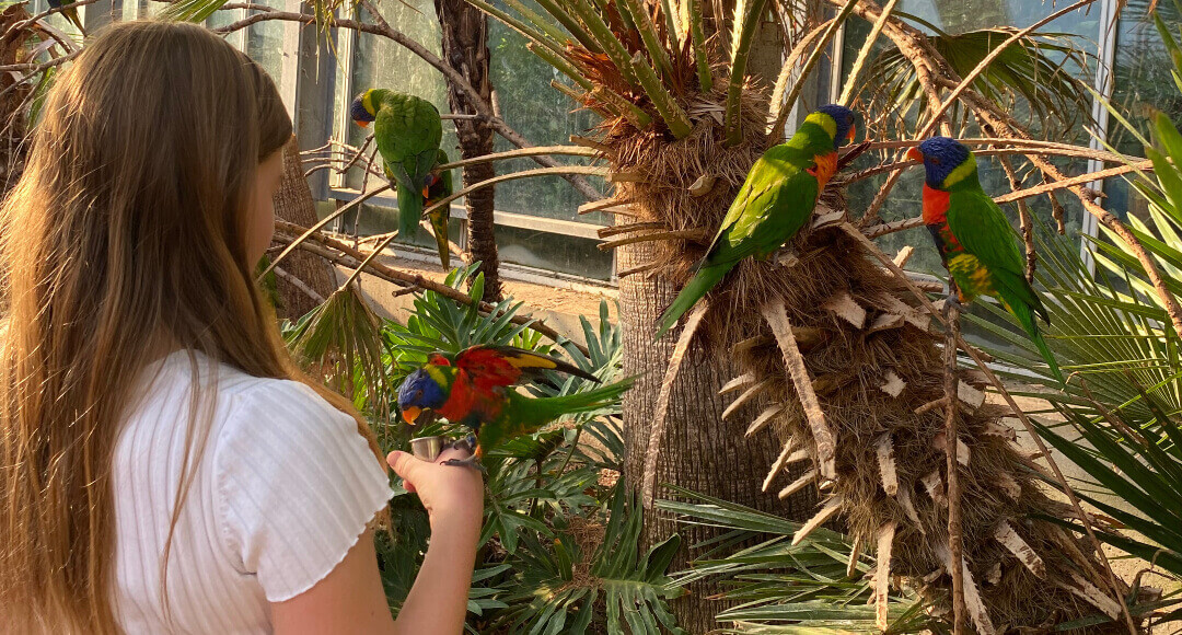 Vogelpark Avifauna