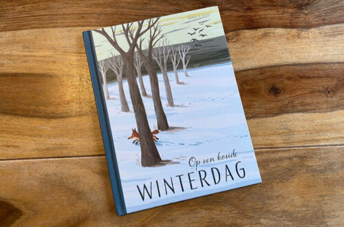 Prentenboek winter