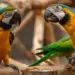 Zoo Veldhoven
